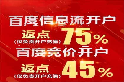 百度竞价排名之成功案例：看广告如何转化为销量
